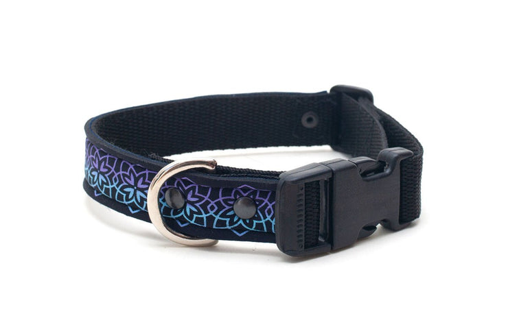 Neoprene Dog Collar: Lotus - Absurd Design 