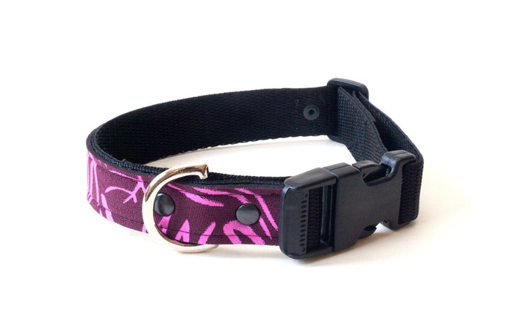 Neoprene Dog Collar: Nebula - Absurd Design