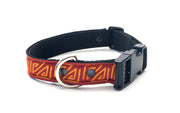 Neoprene Dog Collar: Pompeii - Absurd Design