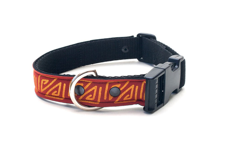 Neoprene Dog Collar: Pompeii - Absurd Design