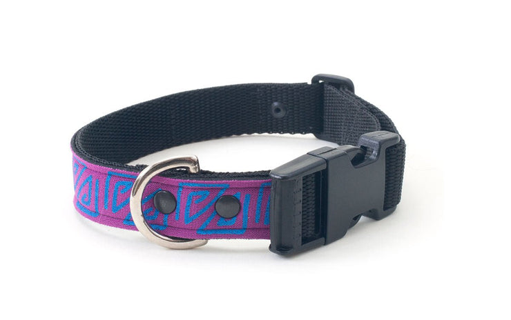 Neoprene Dog Collar: Pool Party - Absurd Design