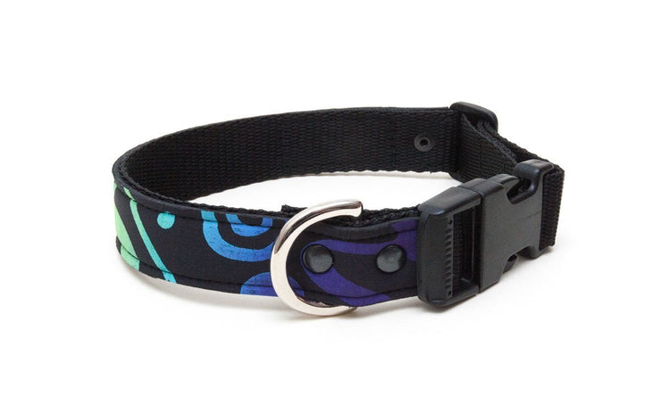 Neoprene Dog Collar: Haida Gwaii Multi - Absurd Design