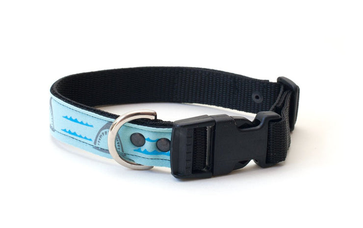 cool upcycled wetsuit dog collar, comfortable, with buckle