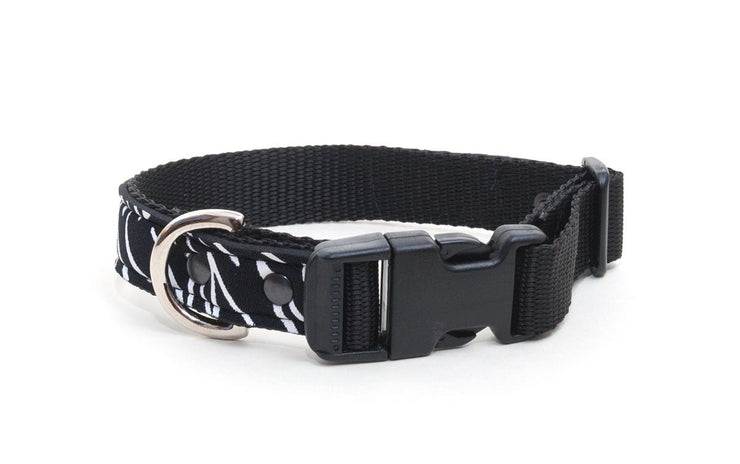 Neoprene Dog Collar: Safari - Absurd Design