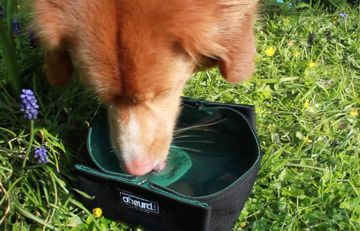 100% Waterproof Fabric Dog Travel Bowl | Collapsible - Absurd Design