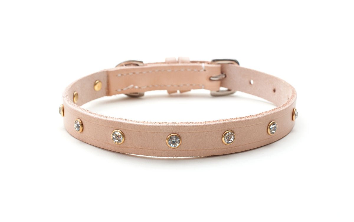 Shine Bright Leather Dog Collar - Absurd Design 