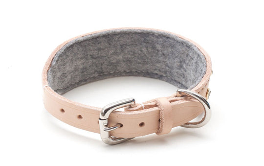 Shine Bright : Leather Sighthound Collar - Absurd Design 