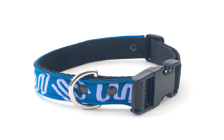 Neoprene Dog Collar: SkinnyDip - Absurd Design
