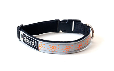 Neoprene Dog Collar: Sun God - Absurd Design