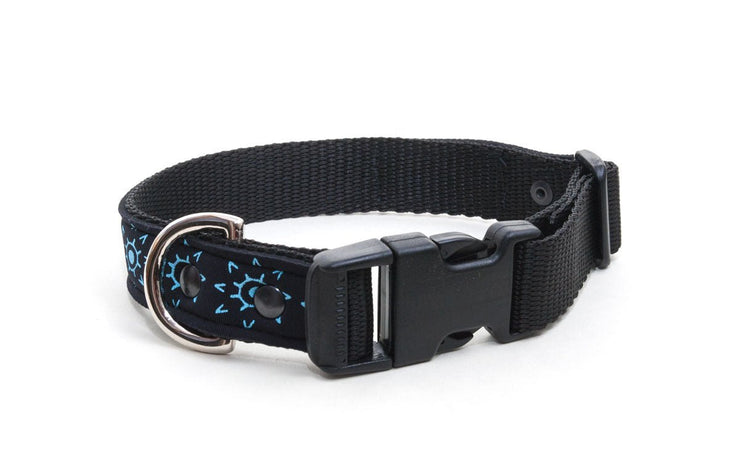 upcycled wetsuit dog collar, comfortable, with buckle