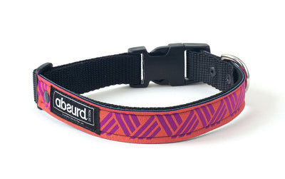 Neoprene Dog Collar: ZigZag - Absurd Design