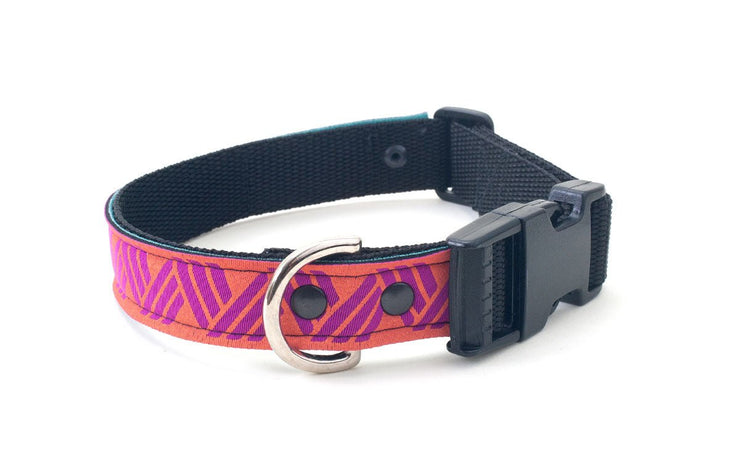Neoprene Dog Collar: ZigZag - Absurd Design