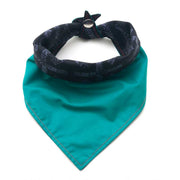 Fun Dog Bandana: Axel - Absurd Design 