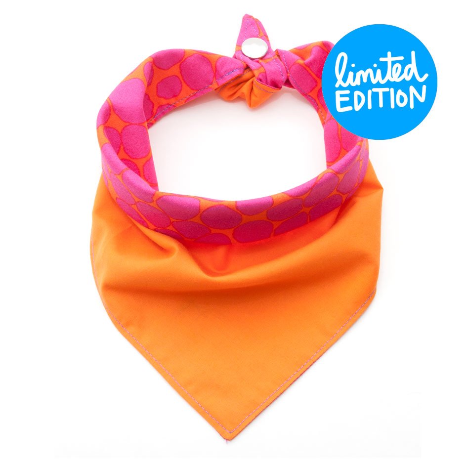 Fun Dog Bandana: Beehive - Absurd Design
