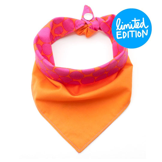 Fun Dog Bandana: Beehive - Absurd Design