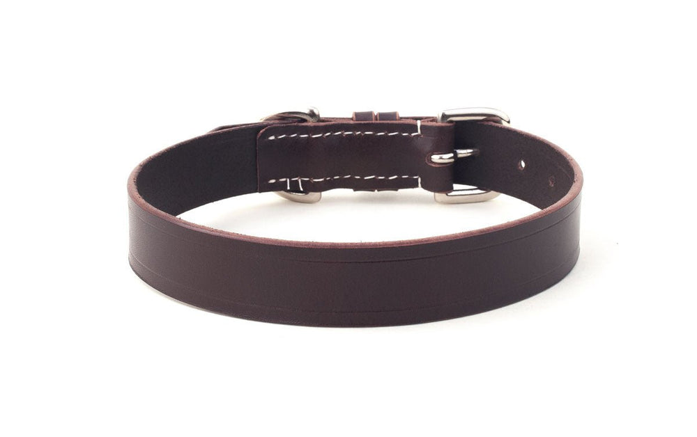 Brown Leather Dog Collar - Absurd Design