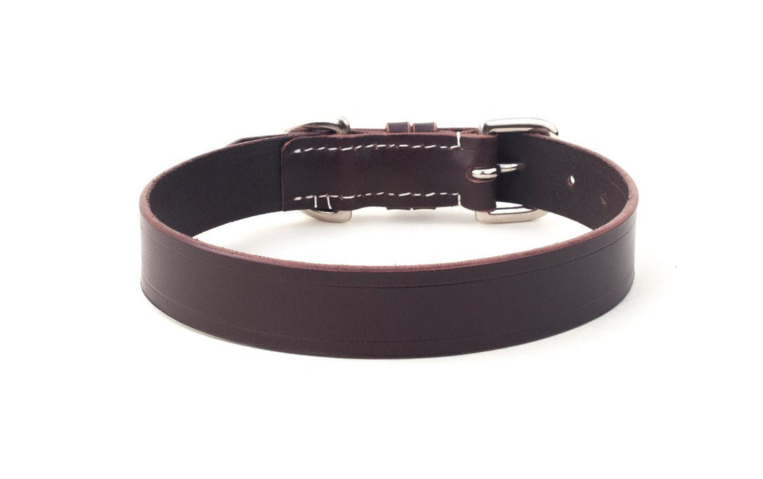 Brown Leather Dog Collar - Absurd Design