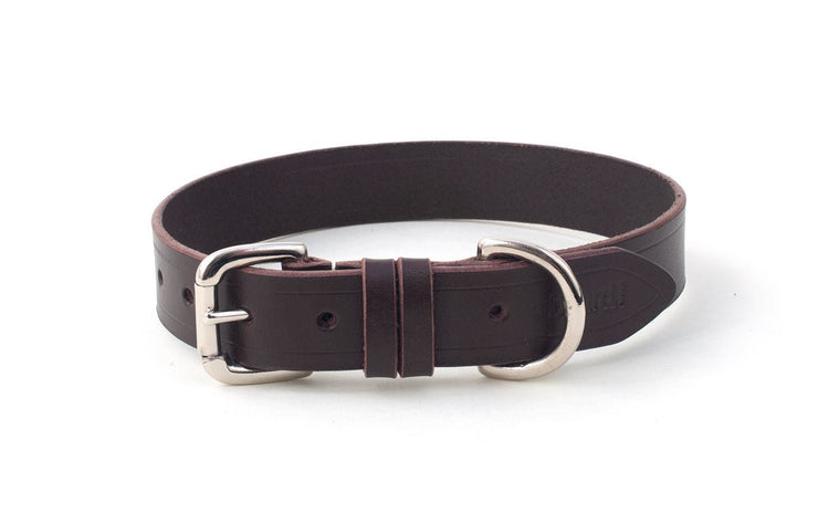 Brown Leather Dog Collar - Absurd Design