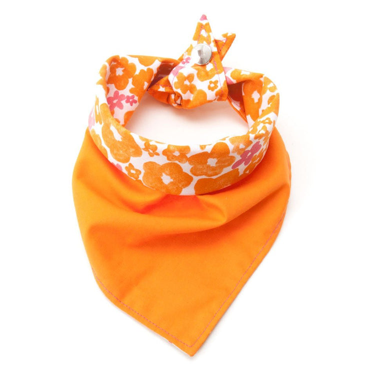 Fun Dog Bandana: Calypso - Absurd Design
