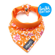 Fun Dog Bandana: Calypso - Absurd Design