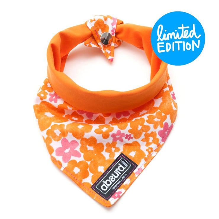 Fun Dog Bandana: Calypso - Absurd Design
