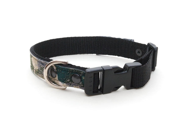 Neoprene Dog Collar: Camo | Wilderness - Absurd Design