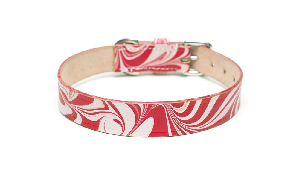 Leather Dog Collar: CandyCane - Absurd Design 