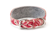 Leather Hound Collar : CandyCane - Absurd Design