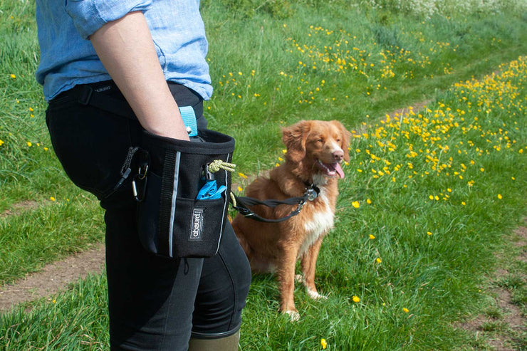 Dog Training Treat Pouch | Dog Walking Bag : Black - Absurd Design