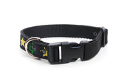 Neoprene dog collar with strong side release buckle, D ring