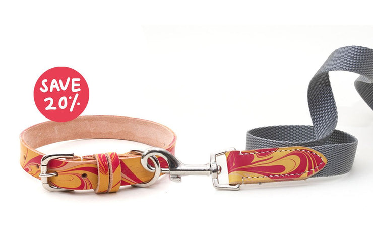 Leather Collar and Lead Set: Firecracker - Absurd Design