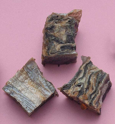 Fish Skin Cubes - Each - Absurd Design