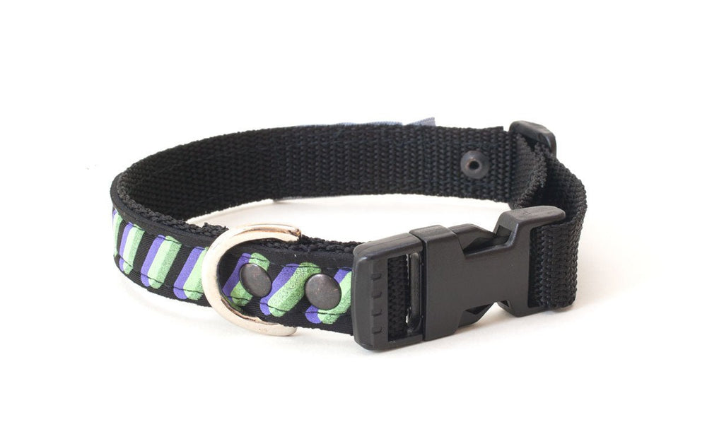 Neoprene Dog Collar: Ghost - Absurd Design