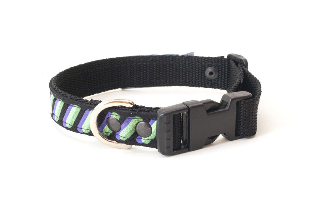 Neoprene Dog Collar: Ghost - Absurd Design