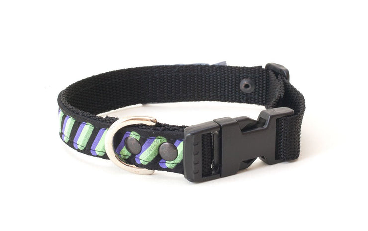 Neoprene Dog Collar: Ghost - Absurd Design