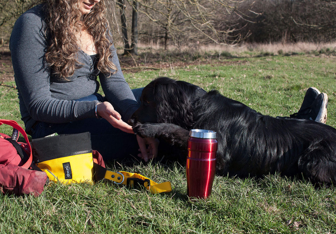 Dog Training Bum Bag - Absurd Design