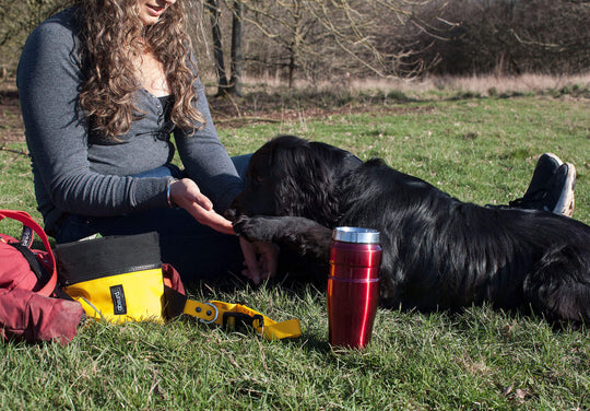 Dog Training Bum Bag - Absurd Design