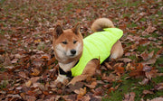 Designer Waterproof Dog Coat: Grey/Hi-Vis - Absurd Design