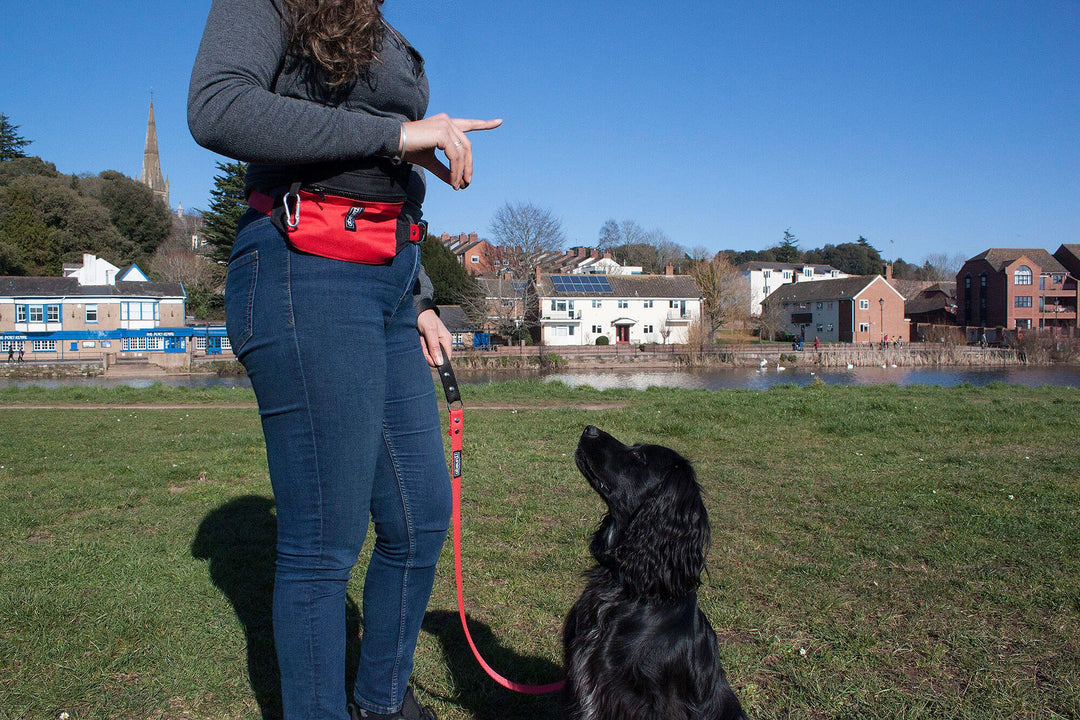 Dog Training Bum Bag - Absurd Design