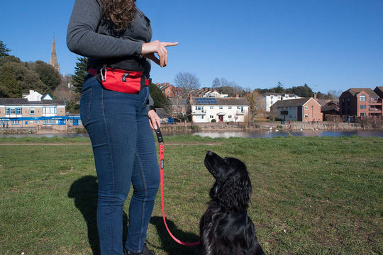 Dog Training Bum Bag - Absurd Design