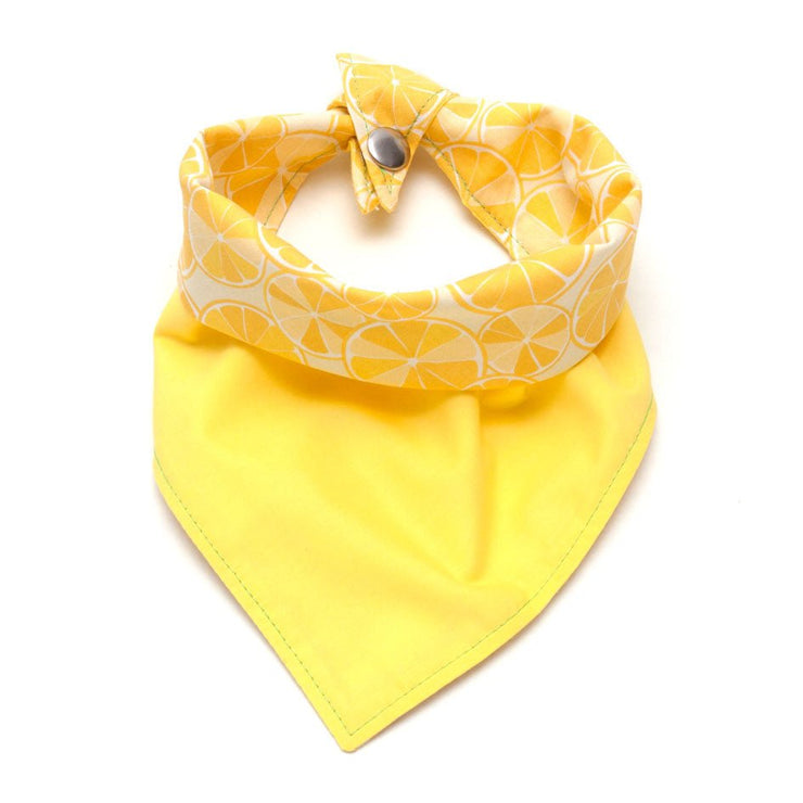 Fun Dog Bandana: Zesty!