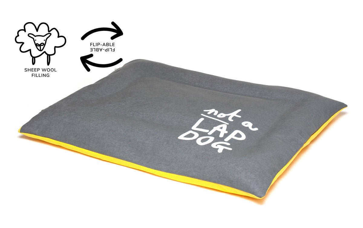 Dog Bed: Not a Lap Dog - Absurd Design
