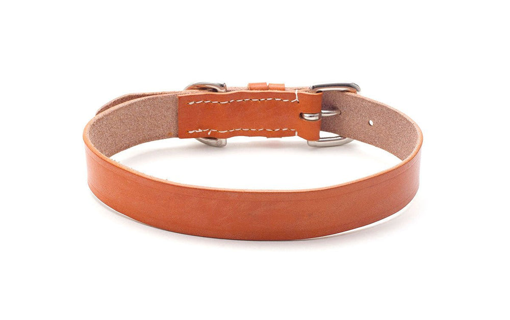Oak Bark Tanned Leather Dog Collar
