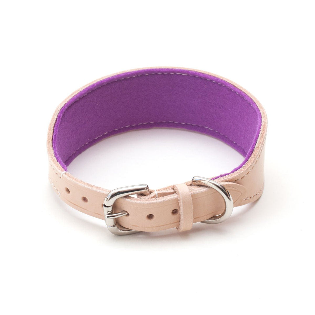 Natural Leather Hound Collar : Purple Felt - Absurd Design