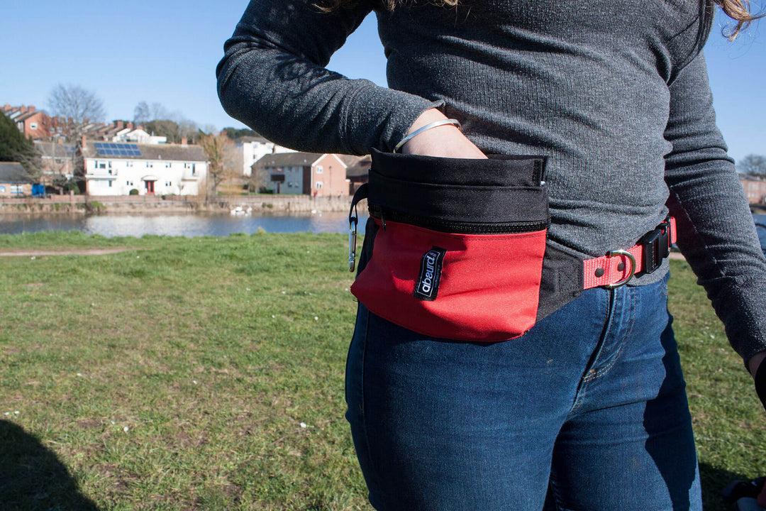 Dog Training Bum Bag - Absurd Design