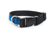Adjustable neoprene collar with side release buckle & D ring