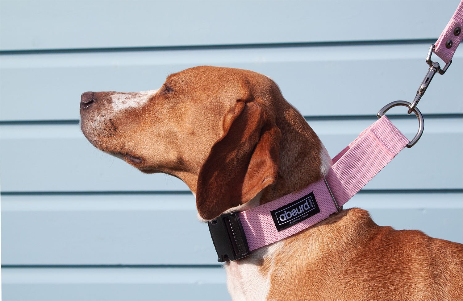 Martingale Collar | Quick Release Buckle | 1.5" Width - Absurd Design