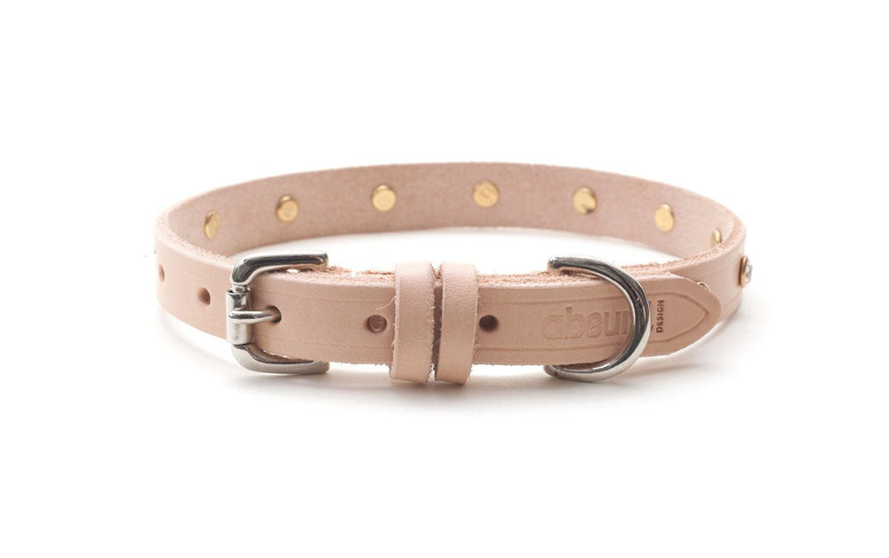 Shine Bright Leather Dog Collar - Absurd Design 