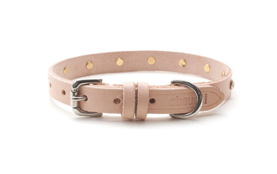 Shine Bright Leather Dog Collar - Absurd Design 