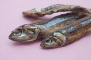 close up of three sprats, a healthy dog food